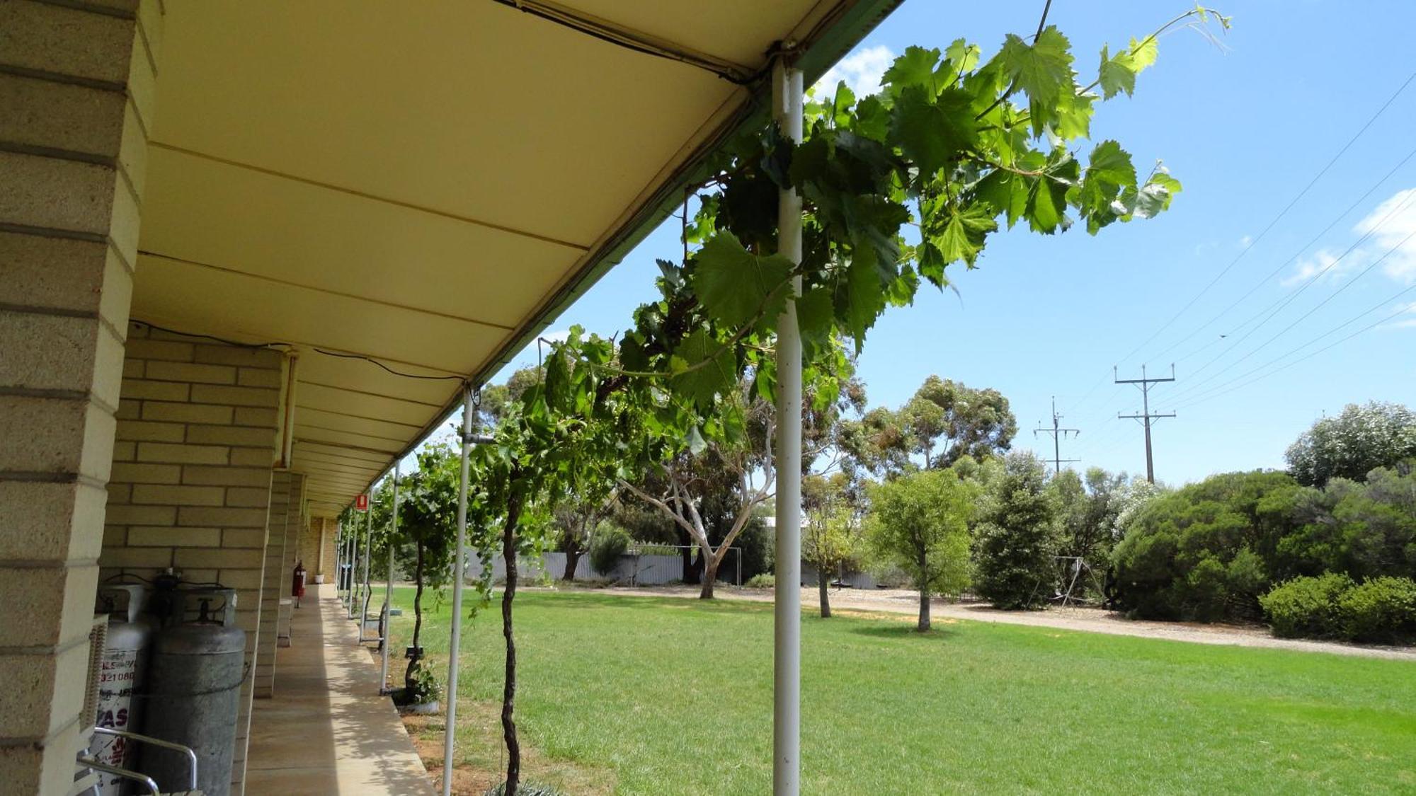 Murray Bridge Motor Inn Экстерьер фото