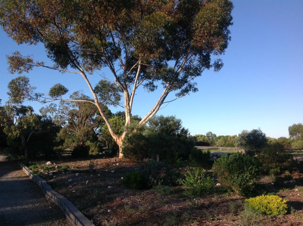 Murray Bridge Motor Inn Экстерьер фото